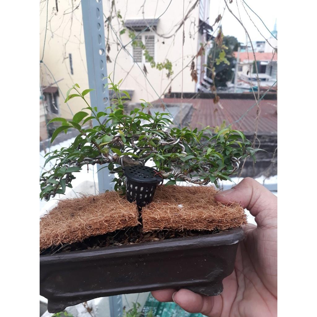 200gr phân tan chậm 14-13-13 kèm 10 giỏ đựng phân