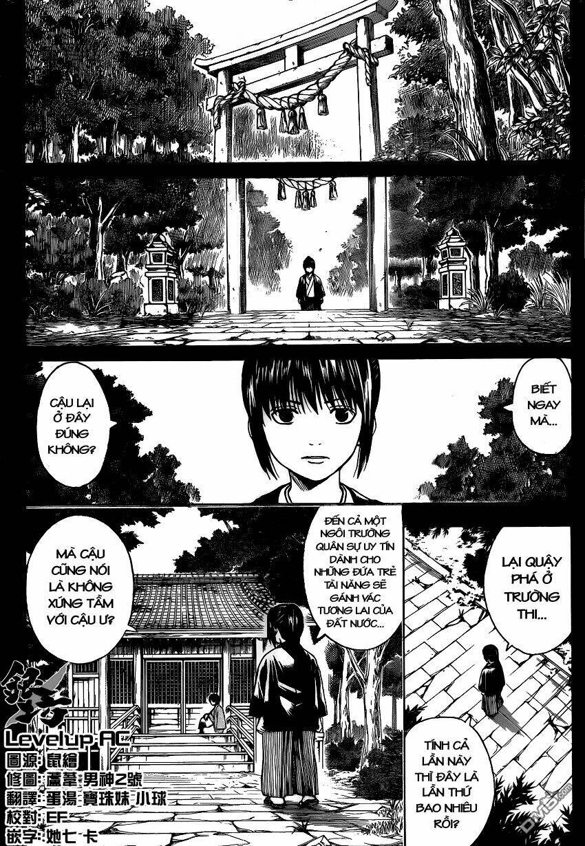 gintama - linh hồn bạc chapter 516 13