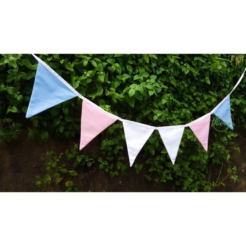Dây cờ tam giác nhiều màu cầu vồng, trang trí decor, dây cờ Transgender chuyển giới LGBTQ+ Flag