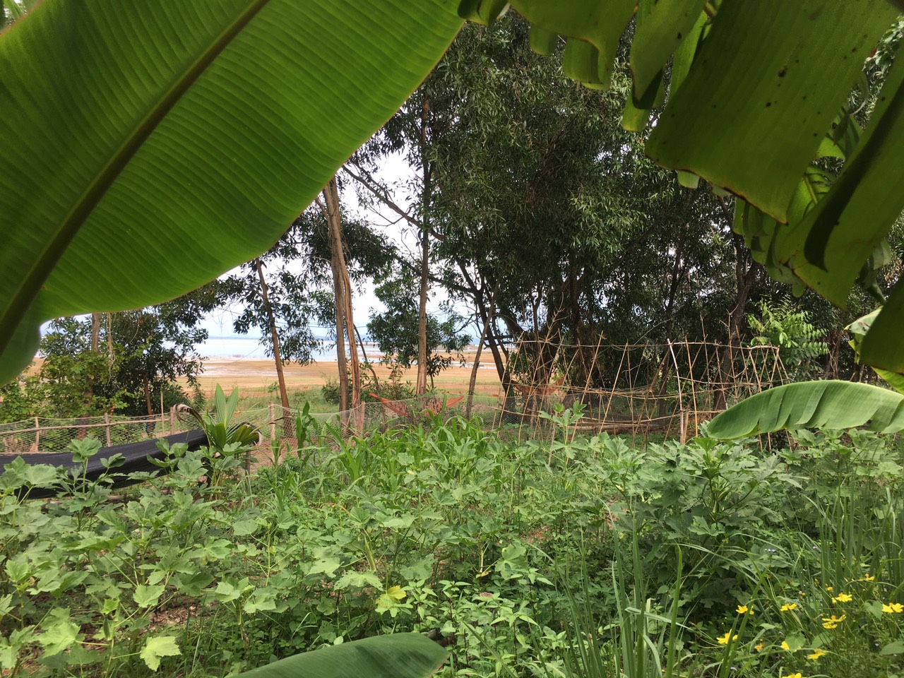 Tour "Mùa hè ở nông trại" - Cùng con khám phá thiên nhiên hồ Trị An 2N1Đ