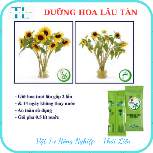 (1 gói) DƯỠNG HOA LÂU TÀN LONG LIFE, KHÔNG THỐI NƯỚC, BỘT DƯỠNG HOA KHÔNG HÉO