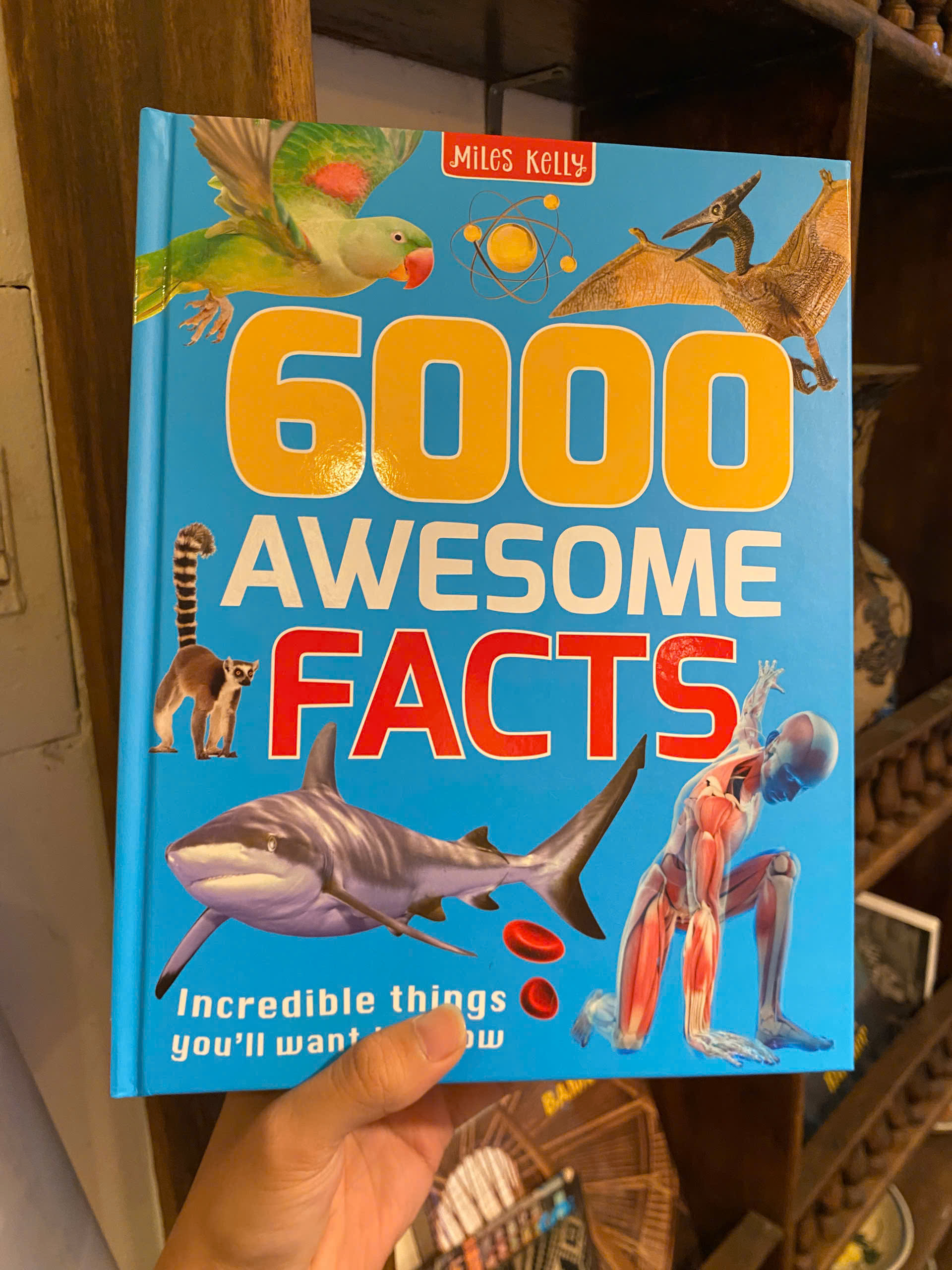 Sách - 6000 Awesome Facts: Incredible Things You'll Want To Know by Miles Kelly | Children Book