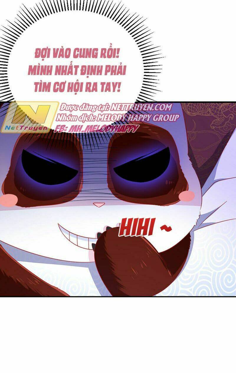 thiên thần gấu trúc muốn được ôm chapter 39 17