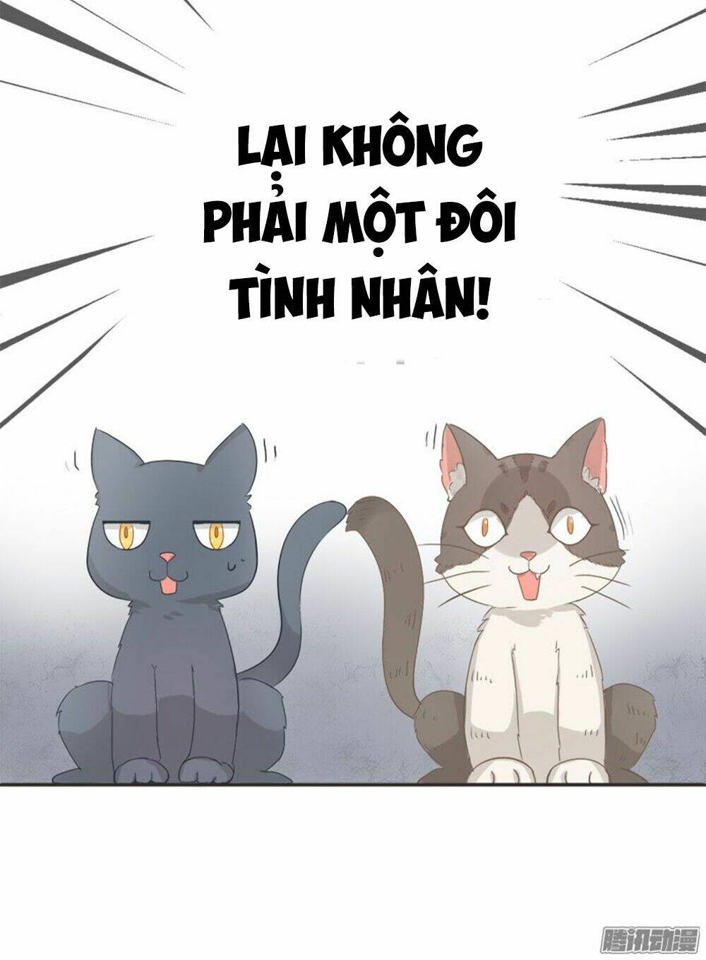 hai chú mèo totem chapter 0 5