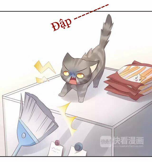 dưới móng vuốt mèo chapter 20 21