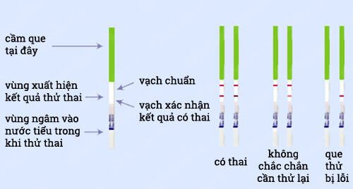 Combo 5 que thử thai chính xác 1