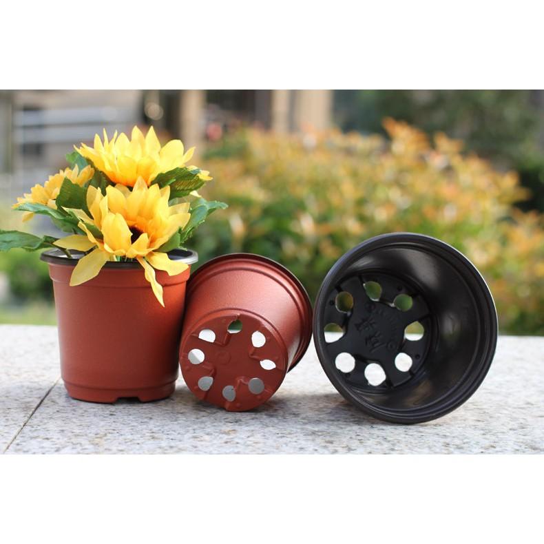 Set 5 chậu, set 10 chậu nhựa trồng cây hai màu, chậu nhựa mỏng màu nâu dùng trồng cây con, ươm hạt, ươm cây