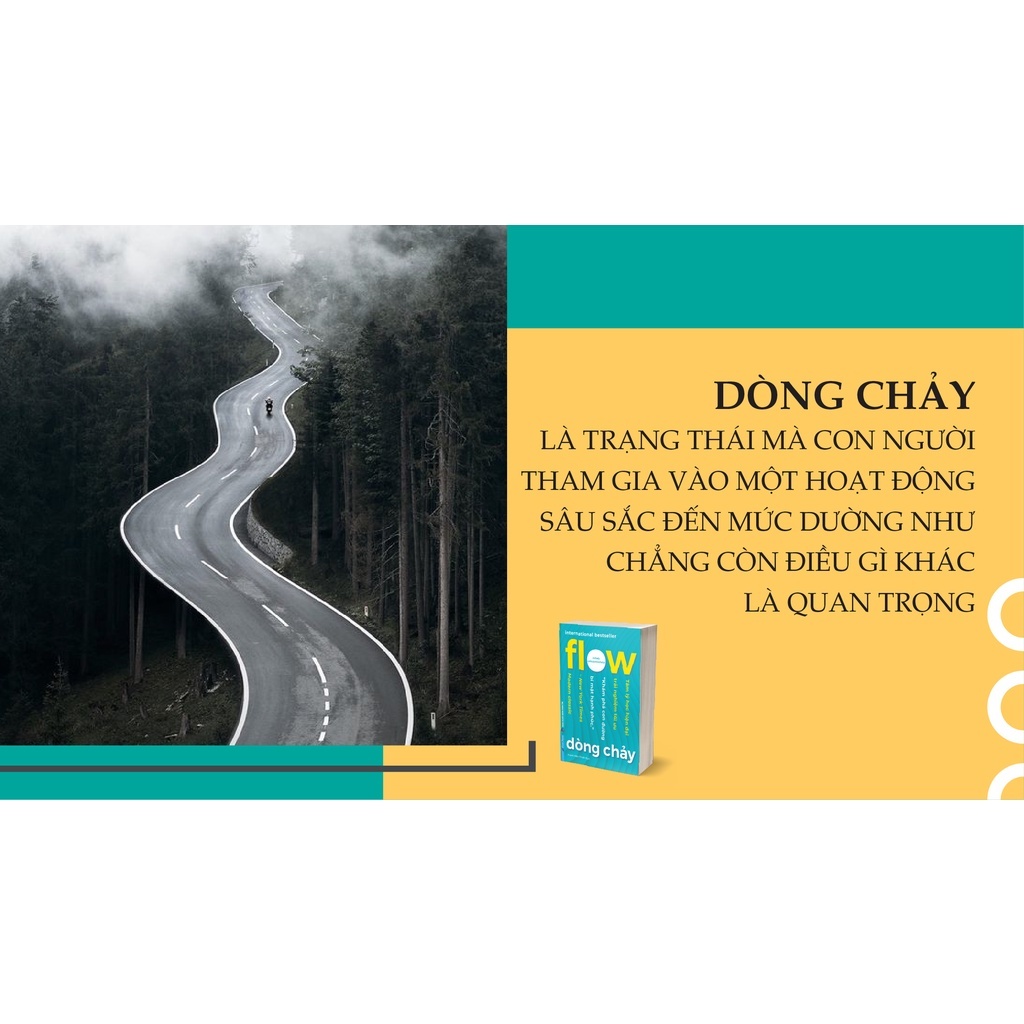 Sách - Flow (Dòng Chảy)