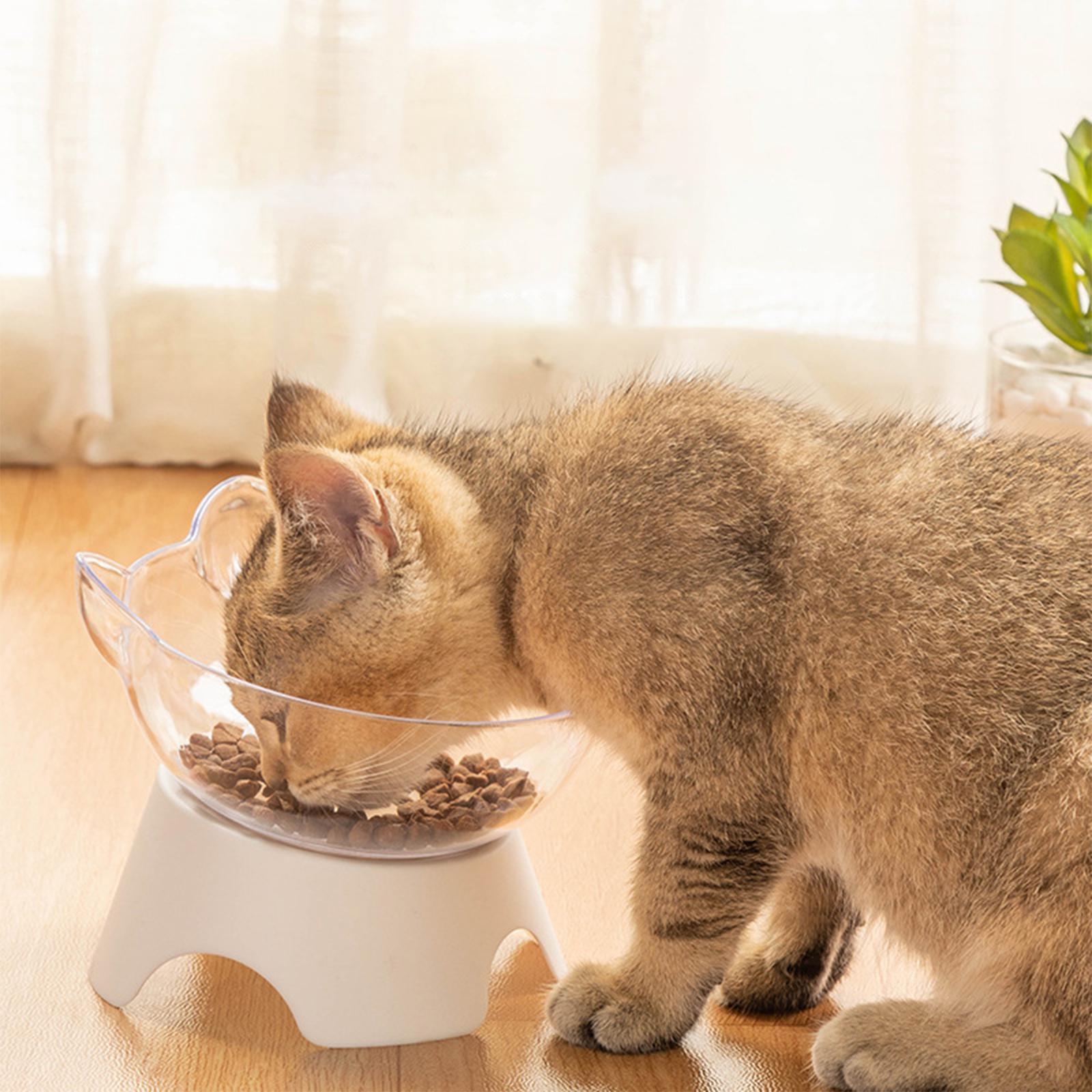 Water Food Dispenser Water Drinking Bowl Cat Bowl Clear