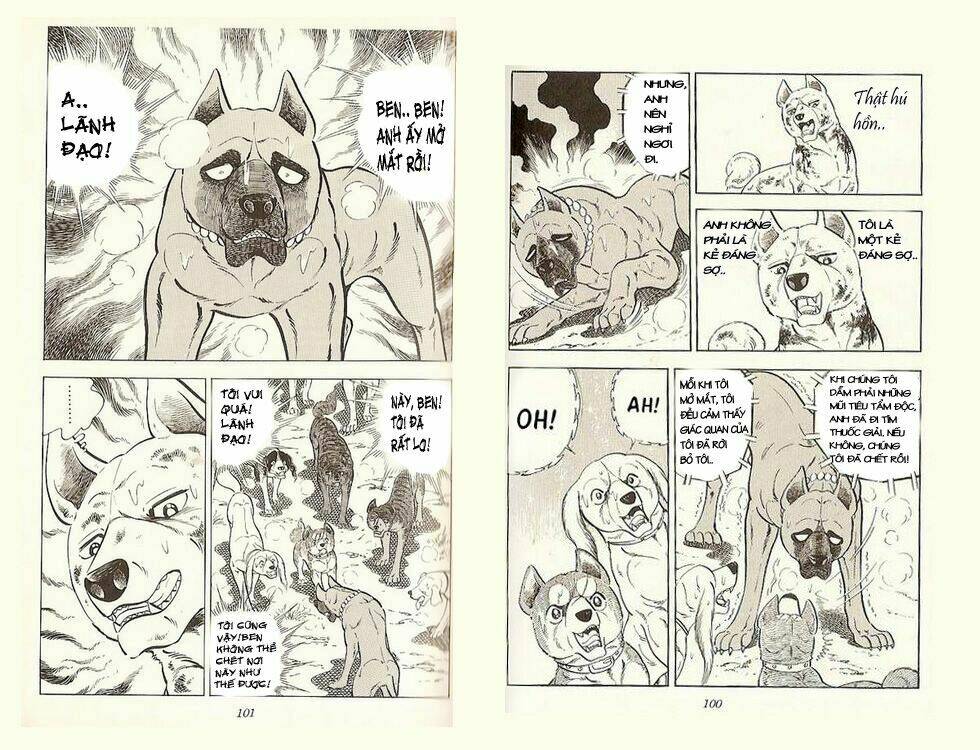 chú chó có nghĩa - ginga nagareboshi gin chapter 19 49