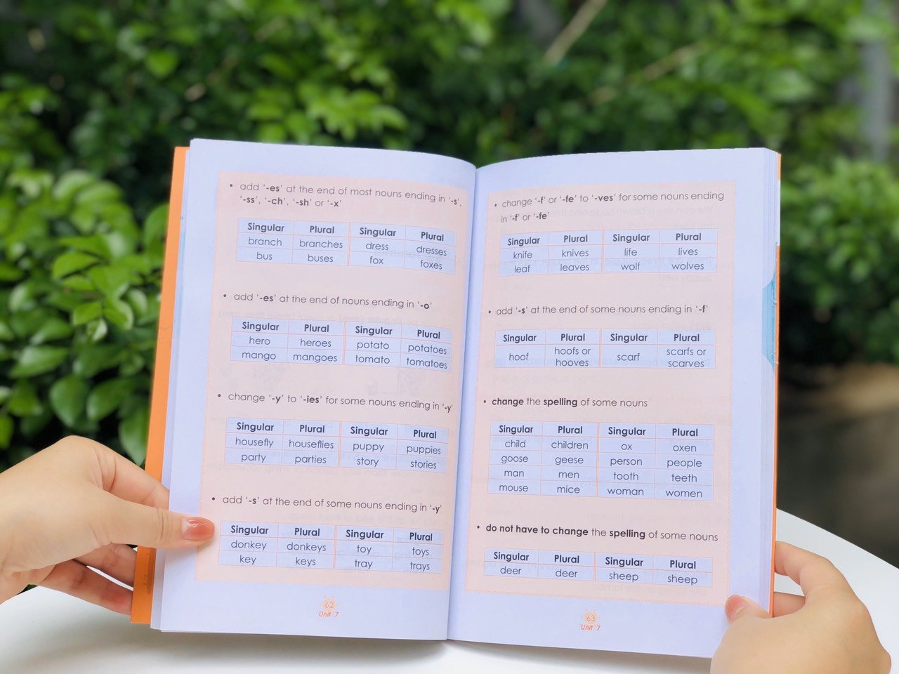 Sách - Learning English - Combo 5 cuốn Tiếng Anh Tiểu Học, làm chủ tiếng anh bậc tiểu học
