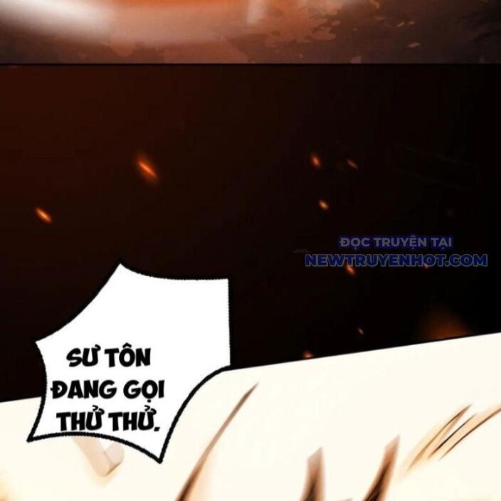 gặp mạnh thì càng mạnh, tu vi của ta không giới hạn chapter 20 5