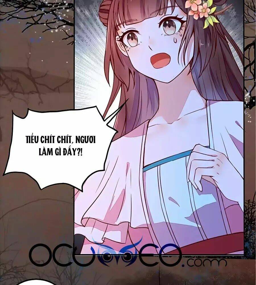 thần y khí nữ: ngự thú cuồng phi của quỷ đế chapter 70 5