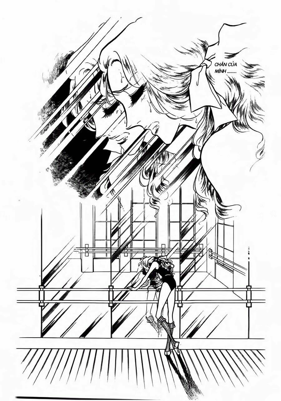 swan - vũ khúc thiên nga chapter 44 20