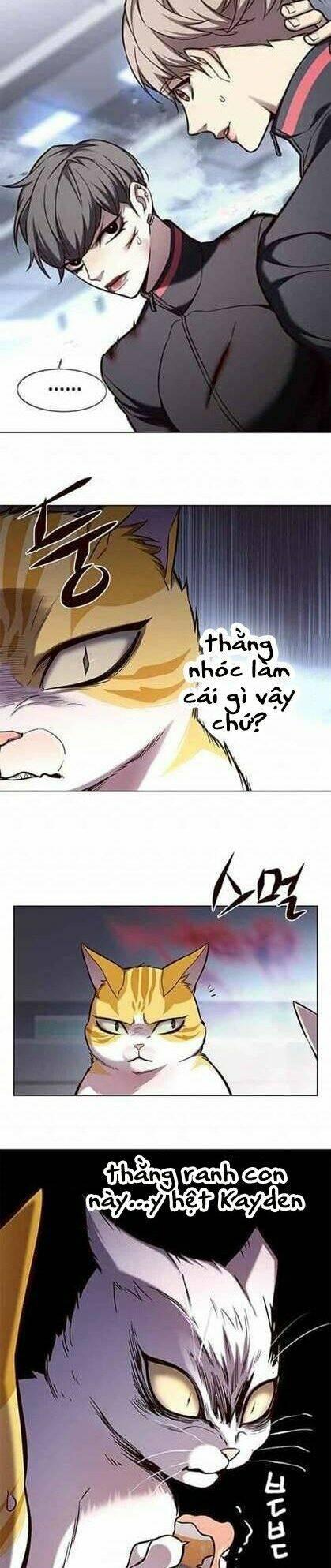 biến thân thành mèo chapter 155 5