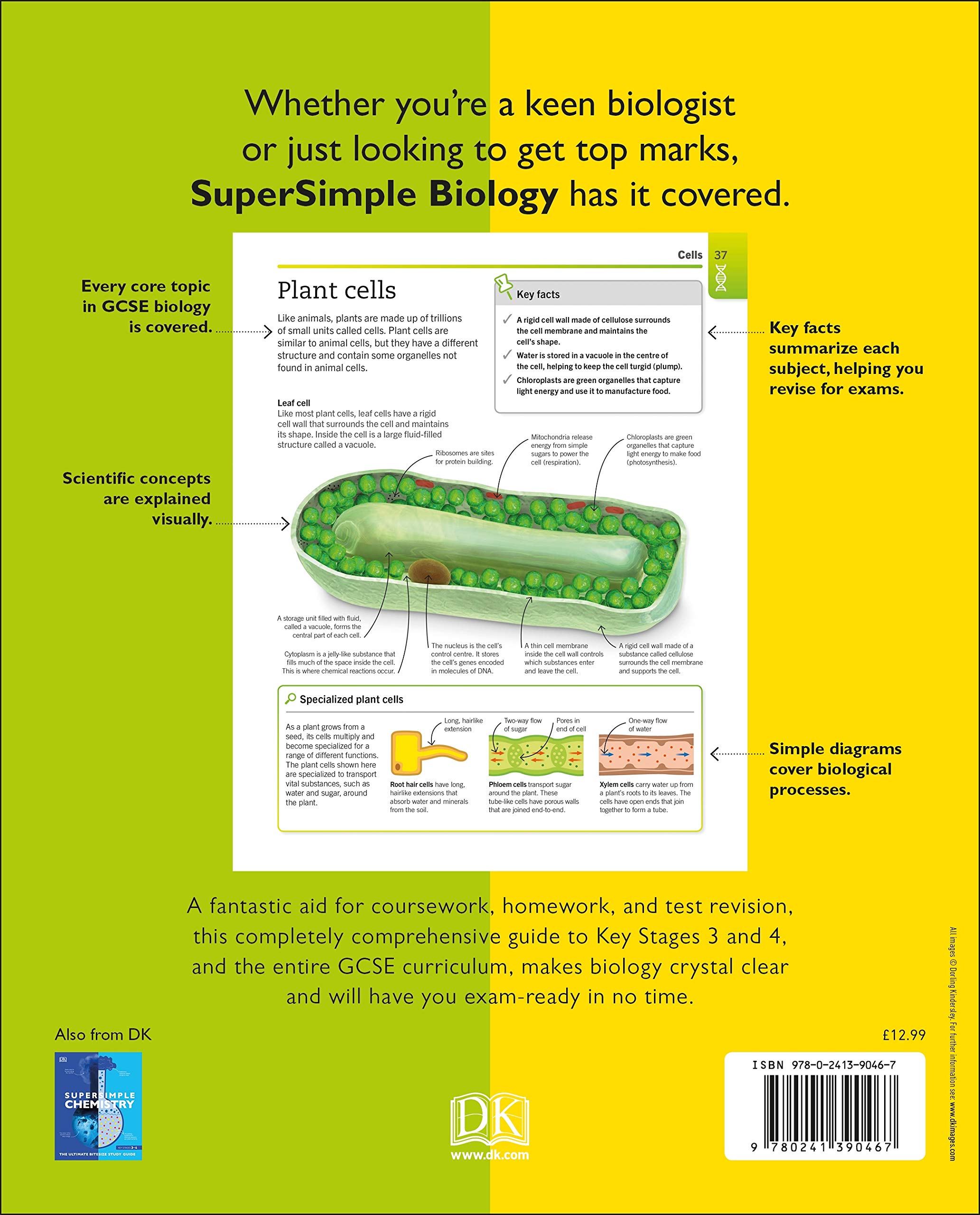 Super Simple Biology: The Ultimate Bitesize Study Guide