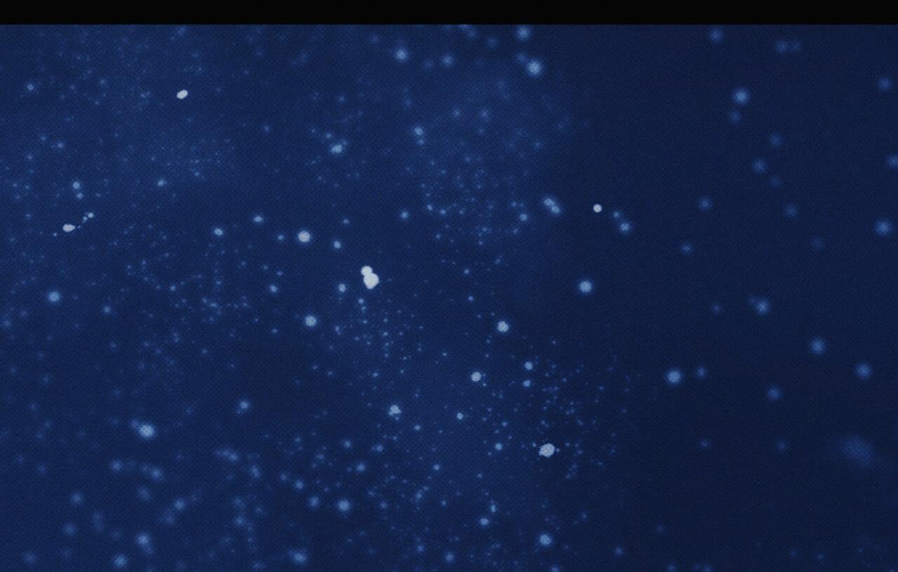 chàng giao pizza và gold palace chapter 24 85