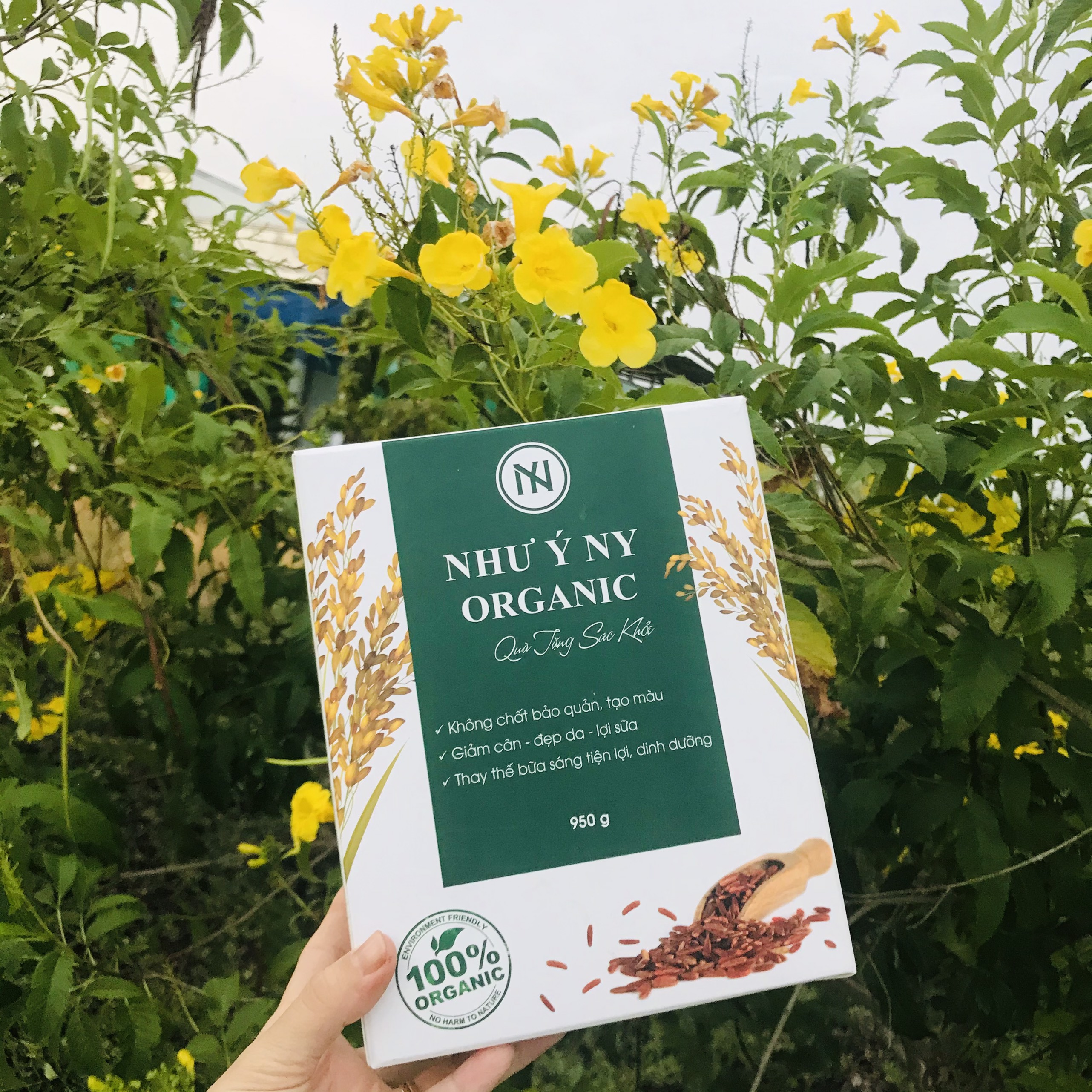 Như Ý NY Organic - Giải pháp chăm sóc da an toàn và hiệu quả từ thiên nhiên