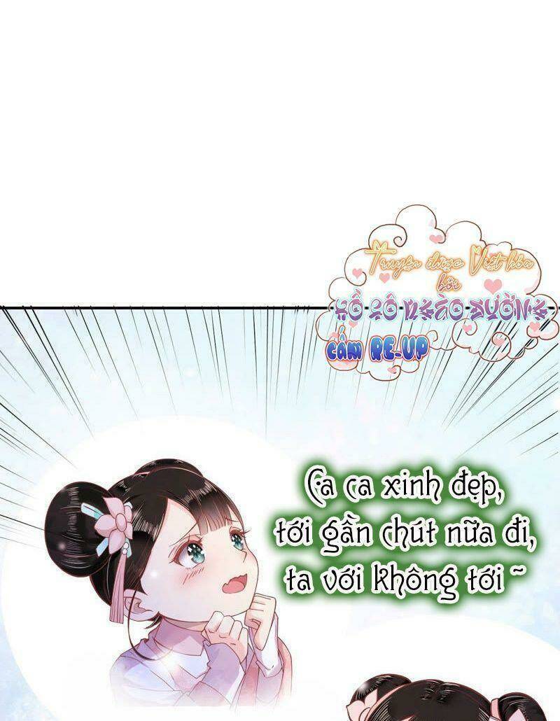 quận chúa vững vàng, thiết lập nhân vật không thể vỡ chapter 4 26