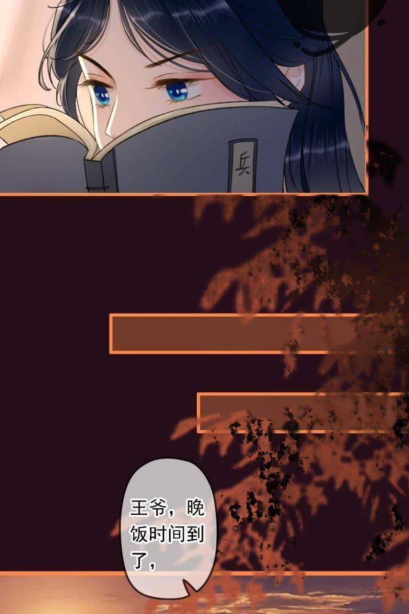 sủng phi của vương chapter 195 23