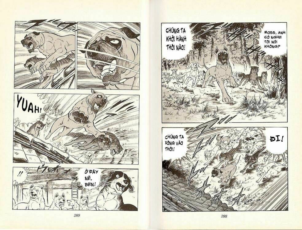 chú chó có nghĩa - ginga nagareboshi gin chapter 18 12