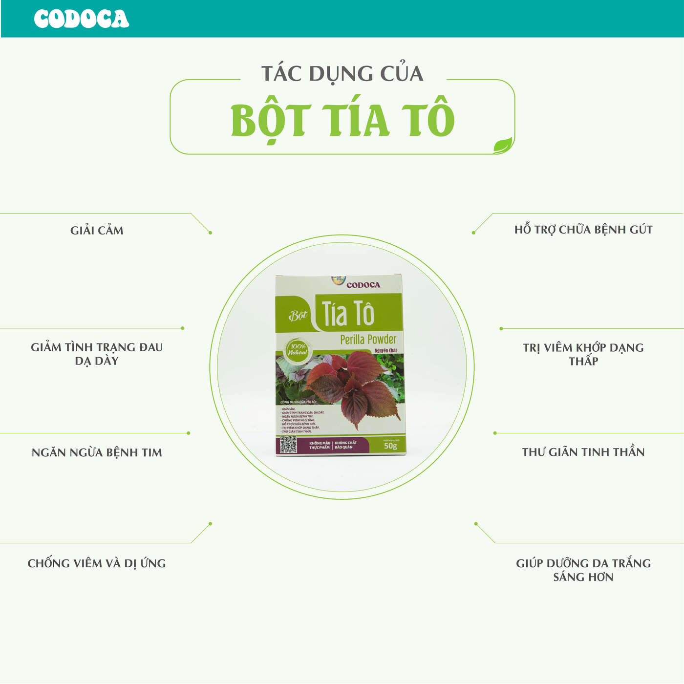 Bột Tía Tô Codoca nguyên chất sấy lạnh Giải cảm, tốt cho dạ dày
