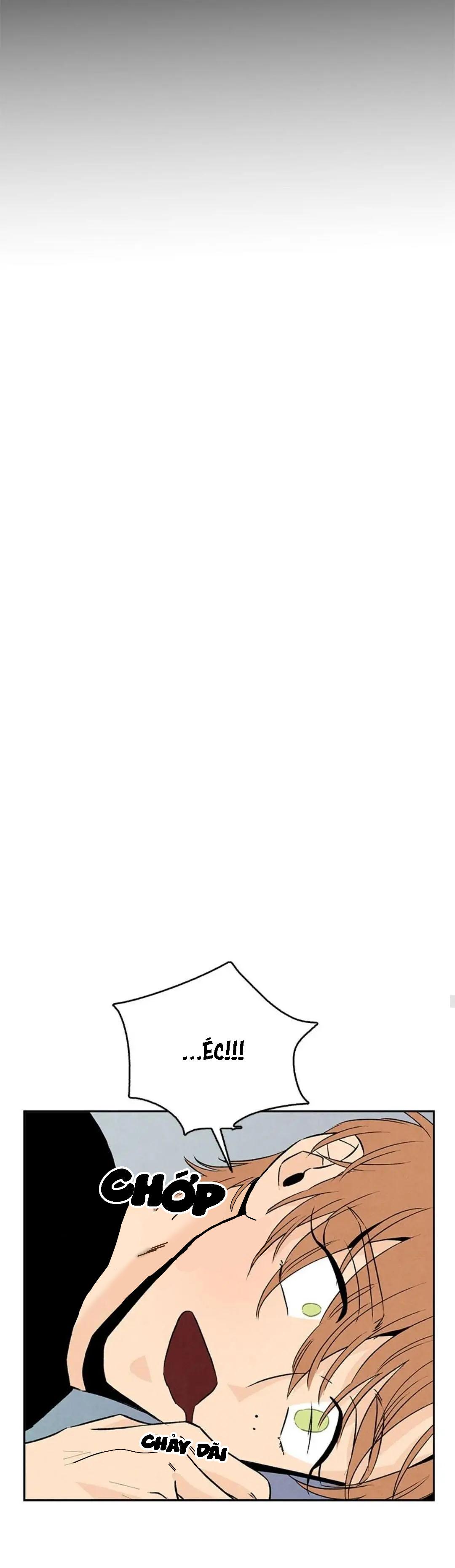 bona sort chapter 31 24