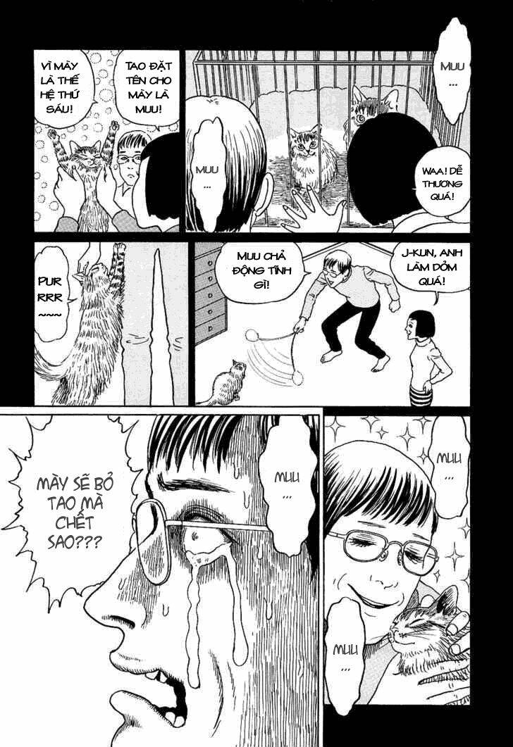 ito junji cat's diary chapter 8 8