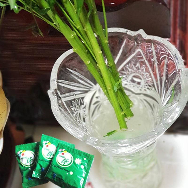 Bột Dưỡng Hoa Cắt Cành Lâu Tàn KNS226