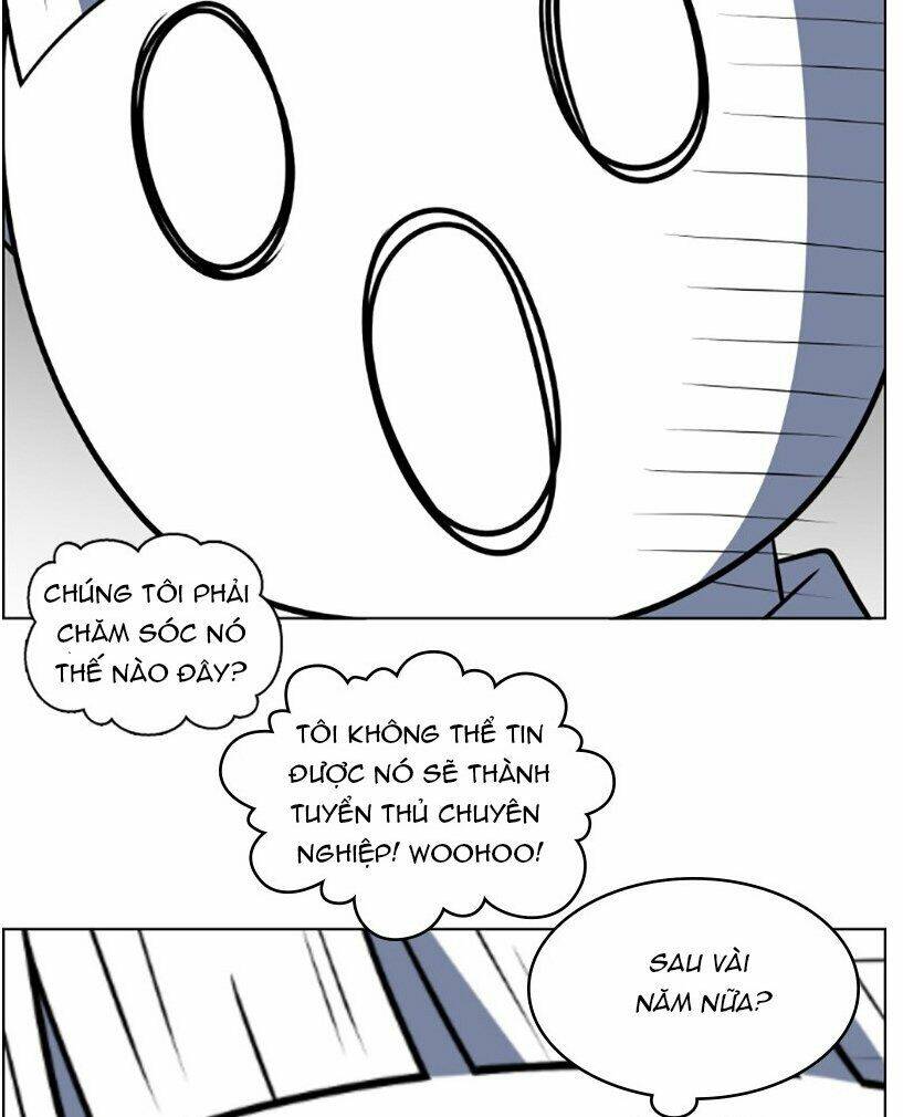 no scope chapter 70 32