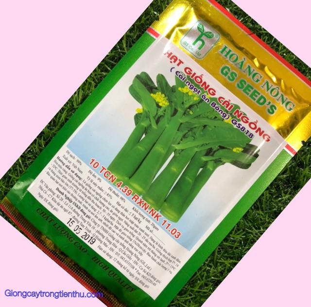 HẠT GIỐNG CẢI NGỒNG GSA818