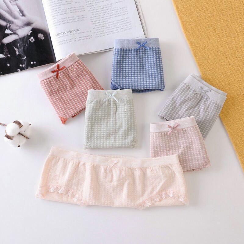Sét 5 quần lót cotton kháng khuẩn dệt kim cao cấp