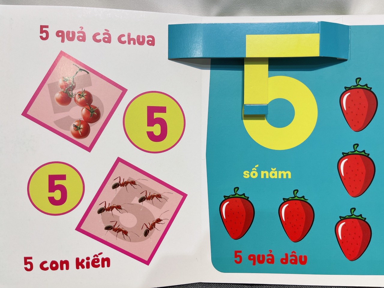 Sách - Bé Vui Học Toán - Làm Quen Số Đếm Cho Bé