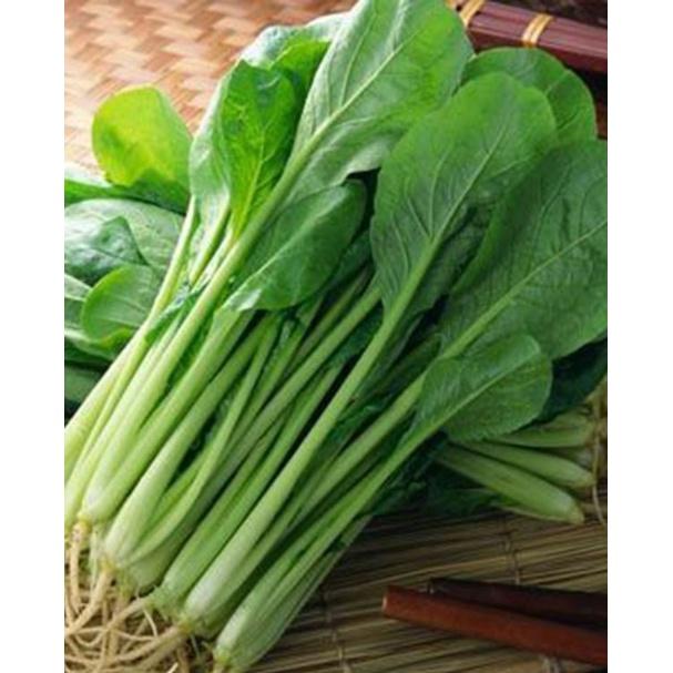 Hạt giống rau Cải ngọt cọng xanh - 1 gói 20gr