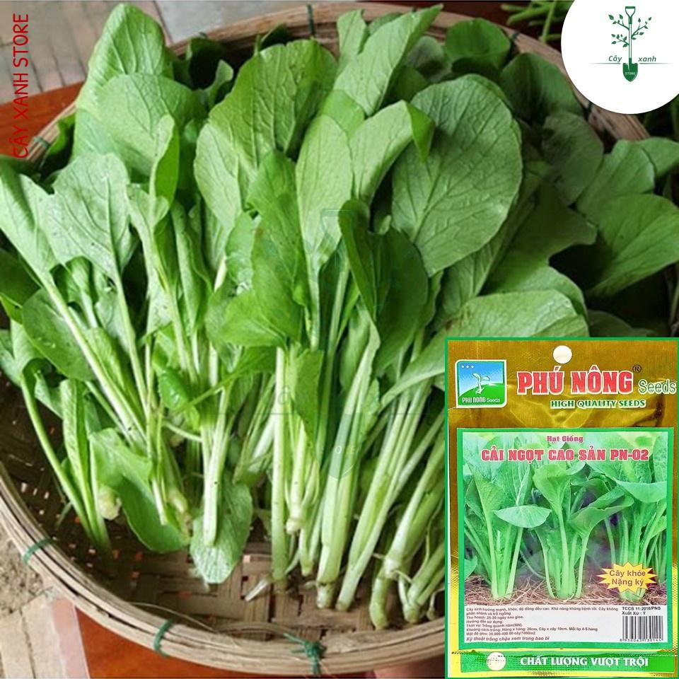 Hạt Giống Rau Cải Ngọt Giòn Ngọt, Năng Suất Cao - Phú Nông Seeds