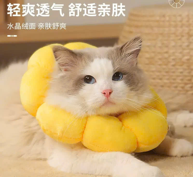 VÒNG CỔ THÚ CƯNG VÒNG CỔ LOA CHỐNG LIẾM CHO THỎ CHÓ MÈO BÔNG HOA DỄ THƯƠNG TỪ 0.5-5.5KG MÃ 10 CHO CHÓ MÈO THỎ