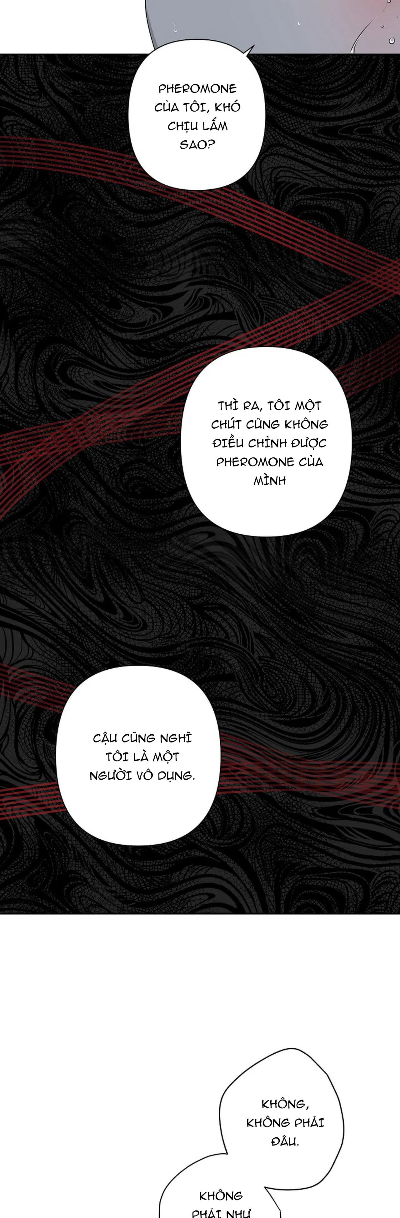 đêm dịu dàng chapter 38 13