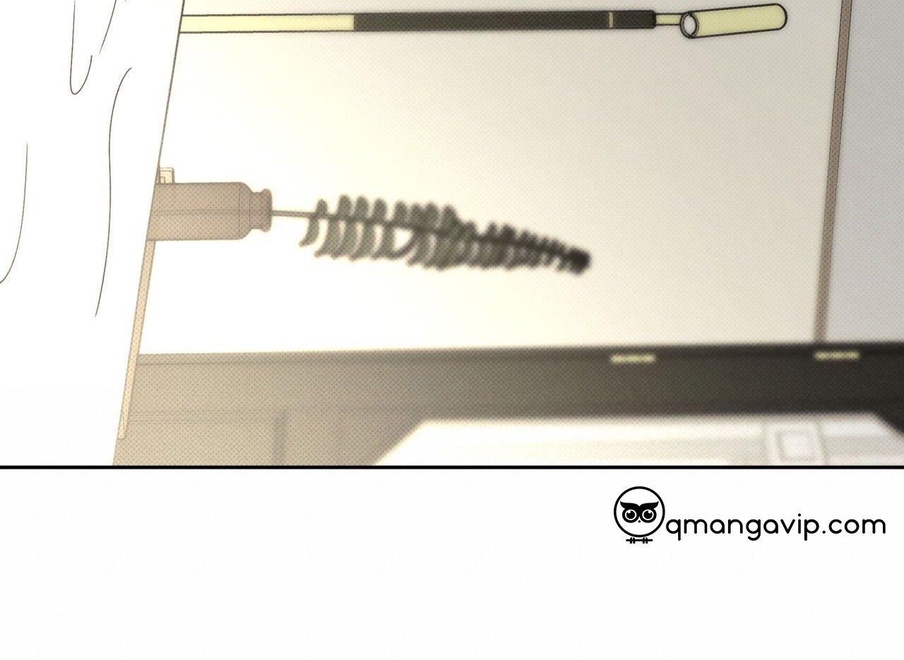 chàng giao pizza và gold palace chapter 46 77