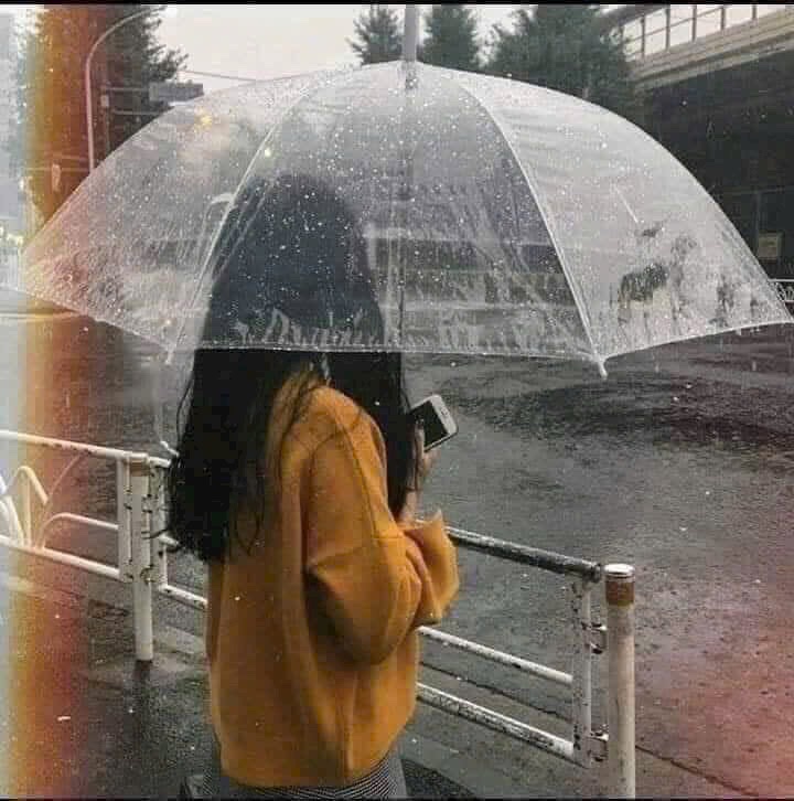 Dù Che Mưa Trong Suốt Thời Trang Tiện Lợi - Ô Che Mưa Cầm Tay Gấp Gọn Phụ Kiện Chụp Ảnh