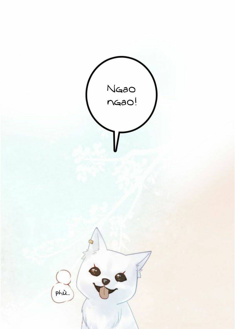 cướp chàng vợ về đón năm mới chapter 4.1 17