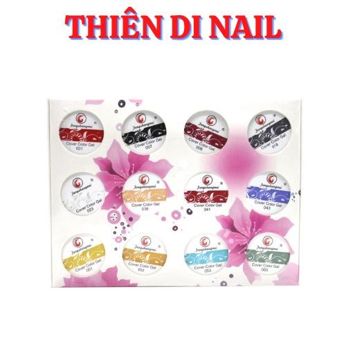 Set gel vẽ nổi 12 màu