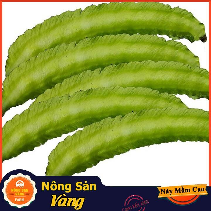 Hạt giống Đậu Rồng ( Gói 10 Gram )