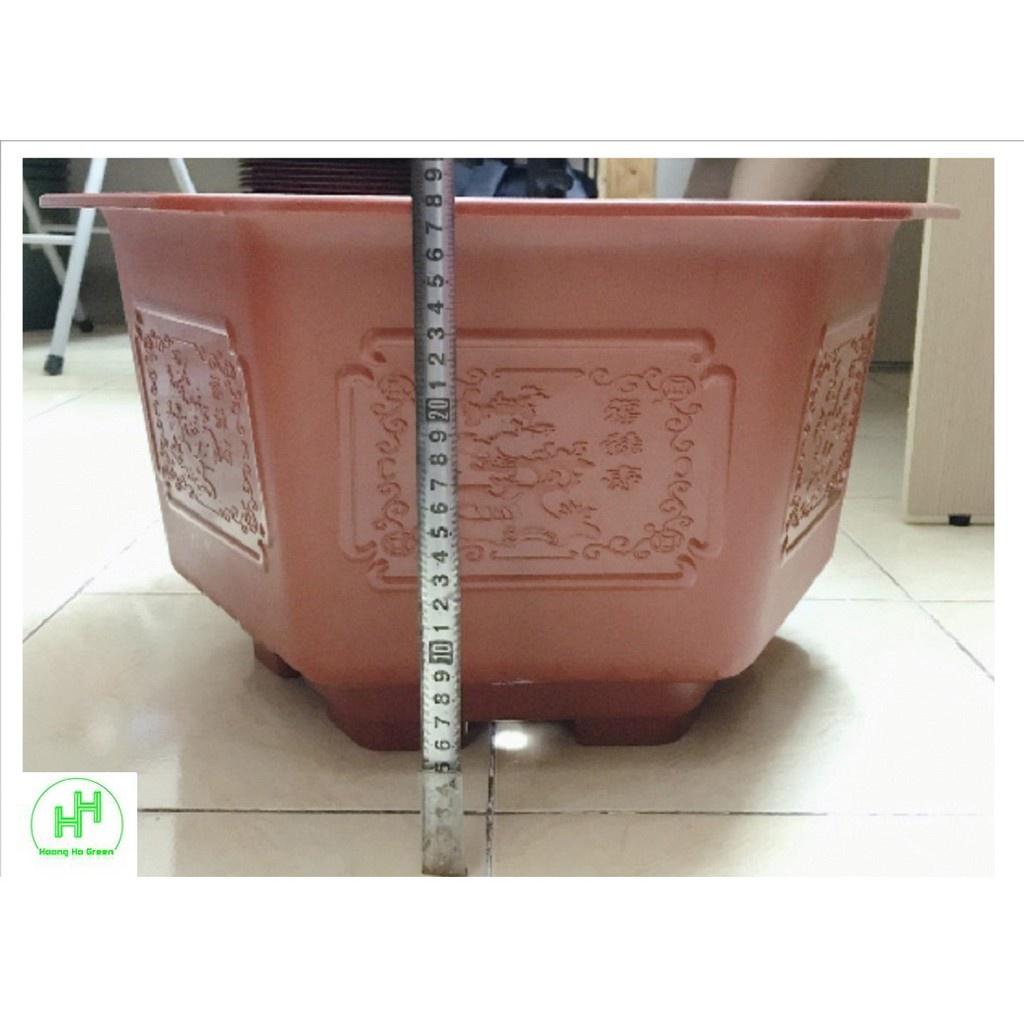 5 Chậu Nhựa Trồng Hoa, Cây Cảnh Bình Thuận FAC-480 hàng chất lượng nhựa bền đẹp