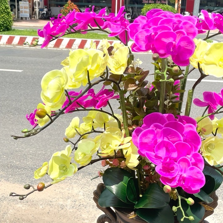 Chậu Hoa LAN HỒ ĐIỆP  cao su nhân tạo trang trí nhà cửa