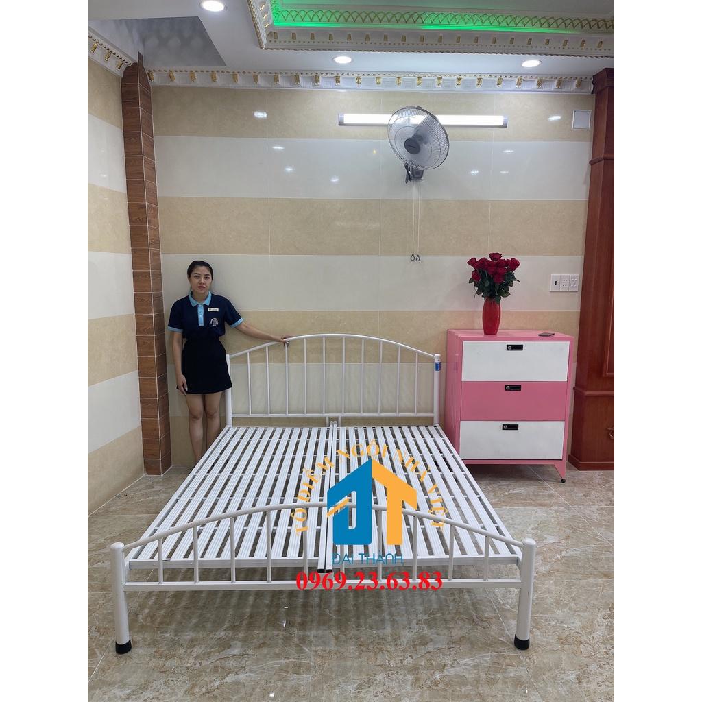 Giường sắt mỹ nghệ Đại Thành 1m6x2m