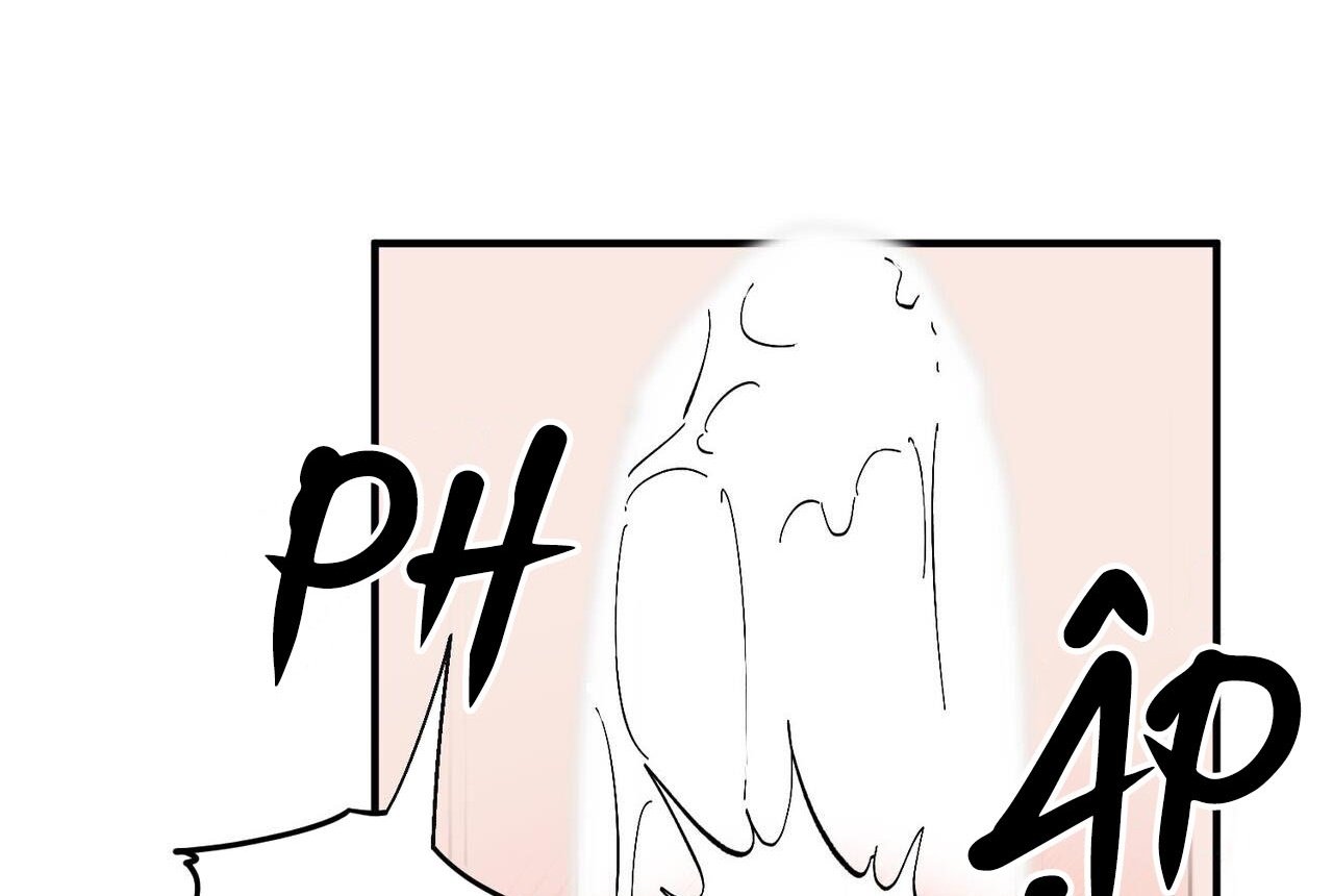 chàng dâu nhà họ kang chapter 46 78