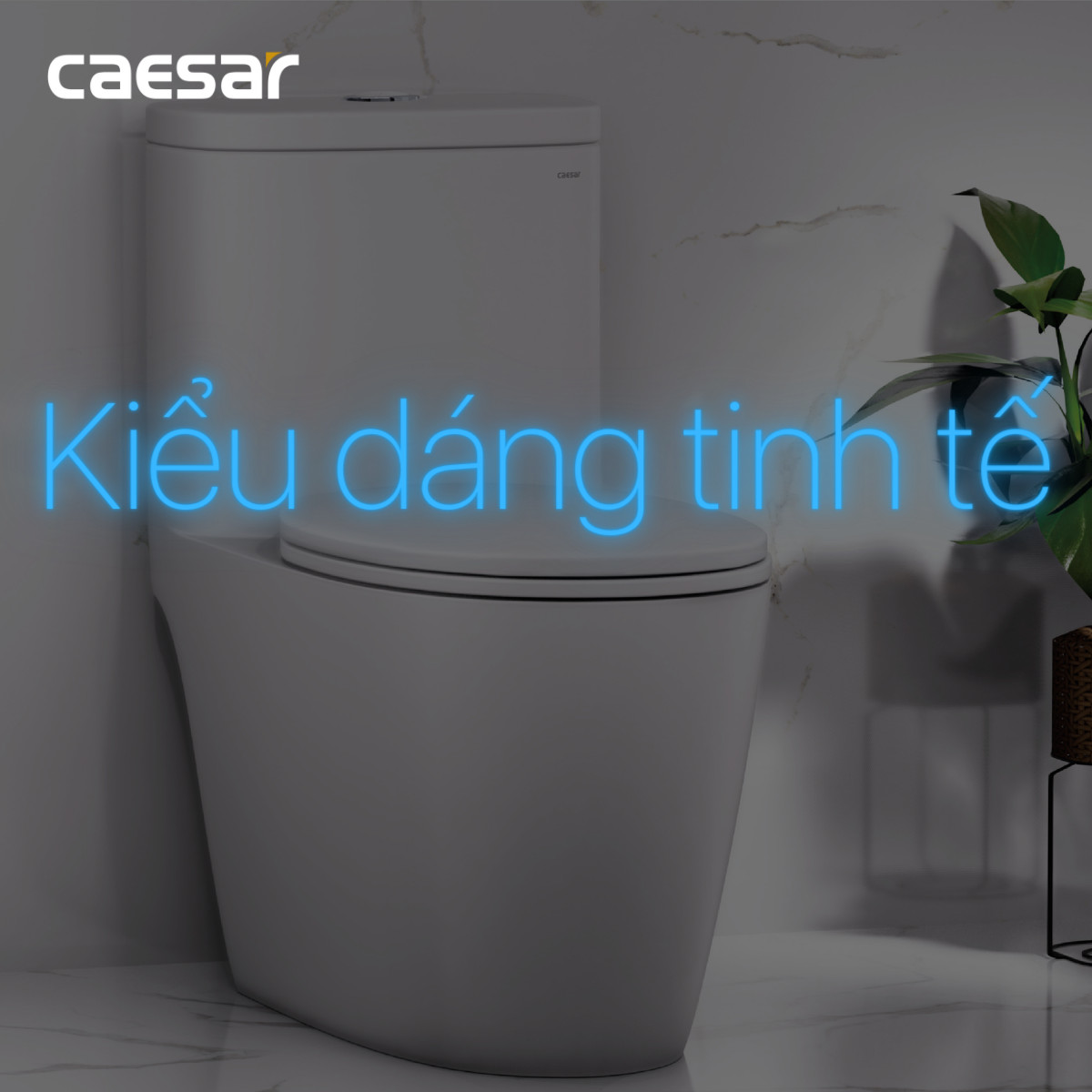 Nắp Bàn Cầu CAESAR Nhựa Cao Cấp  MU234 - Nắp rơi êm