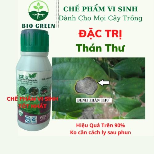 Thuốc trừ nấm cho cây ,trừ nấm sinh học hữu cơ TSBIO 100ml , bệnh vàng thối lá rể, thán thư, rỉ sắt