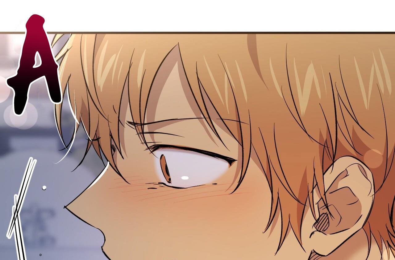 những chú thỏ của hapypy chapter 58 157