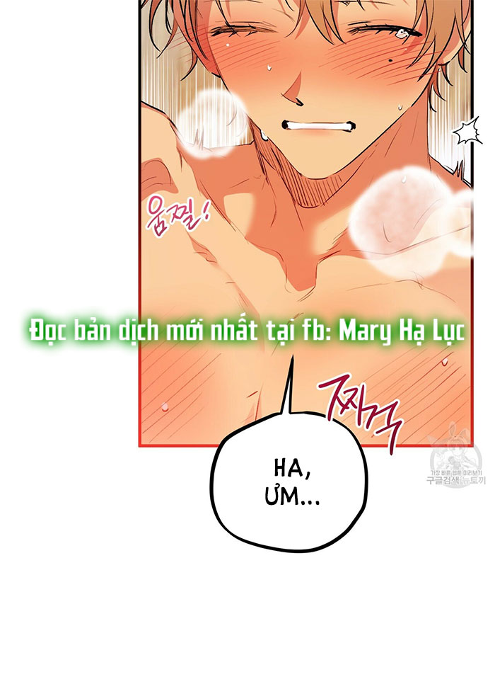 những chú thỏ của hapypy chapter 43 40